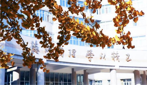 北京理工大学王牌专业盘点 网络与信息安全、软件开发等热门方向不可错过